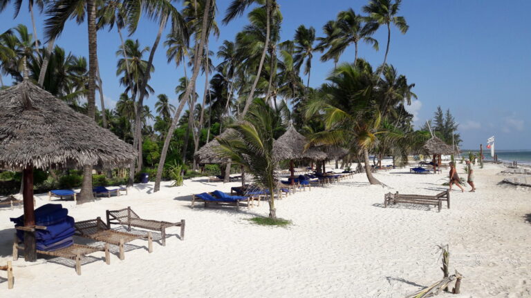 Wczasy na Zanzibarze 4