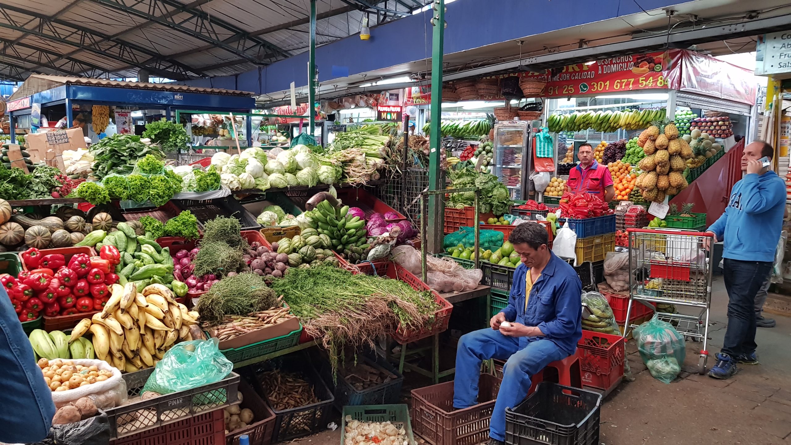 Bogota
