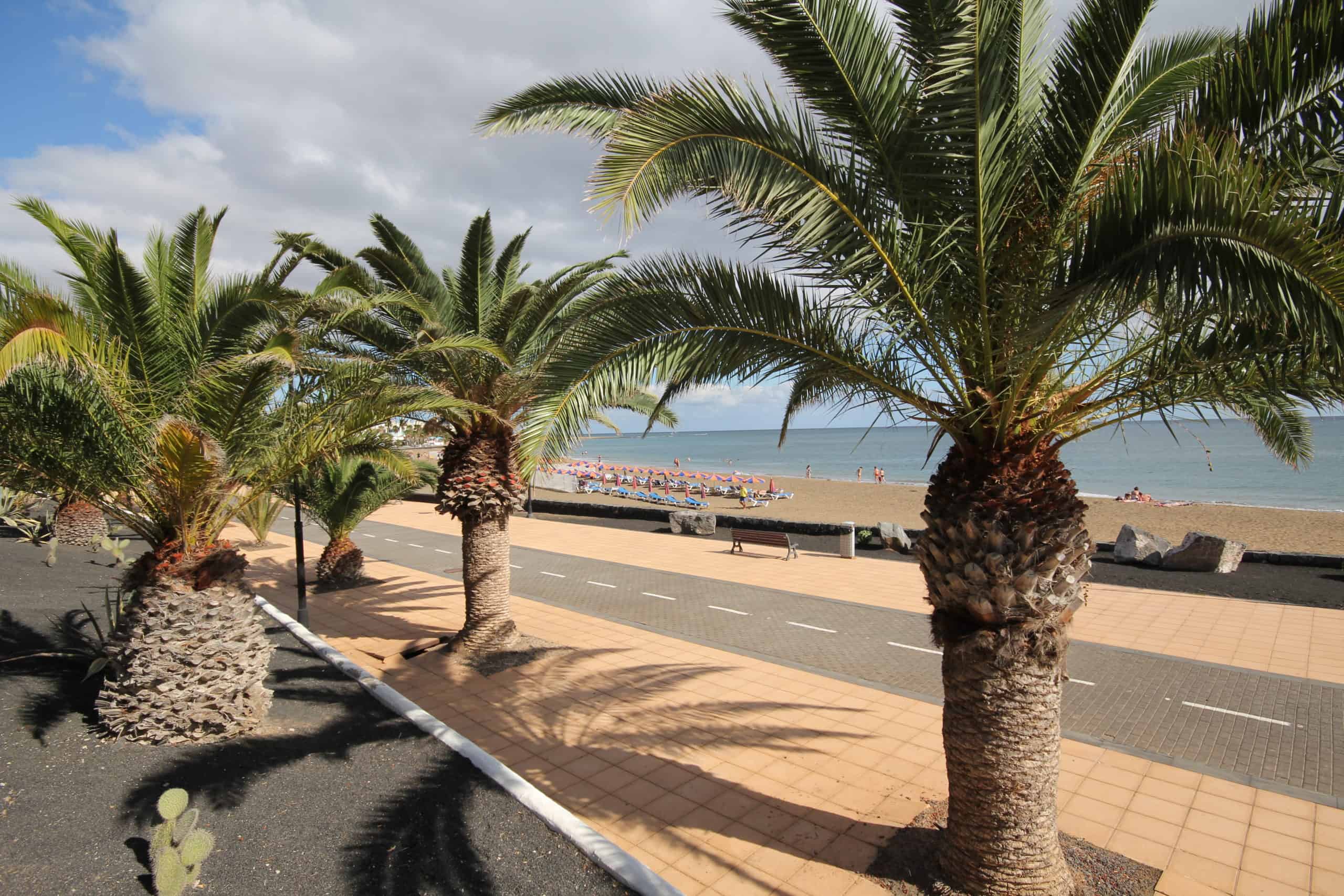 Wyspy Kanaryjskie - Lanzarote