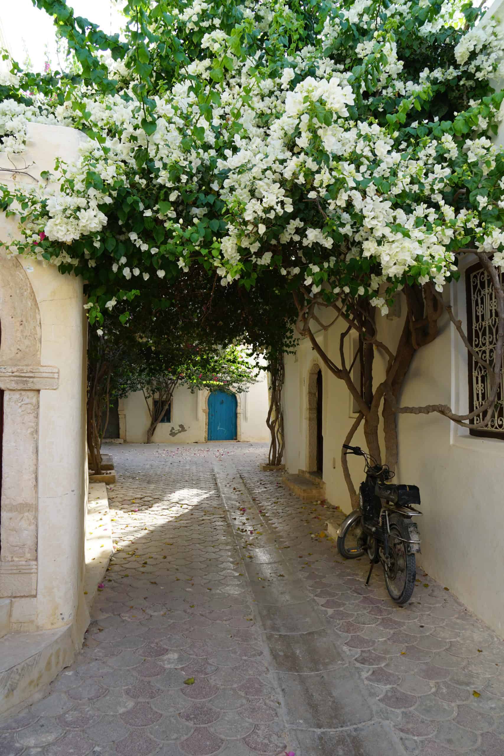 Djerba Hood