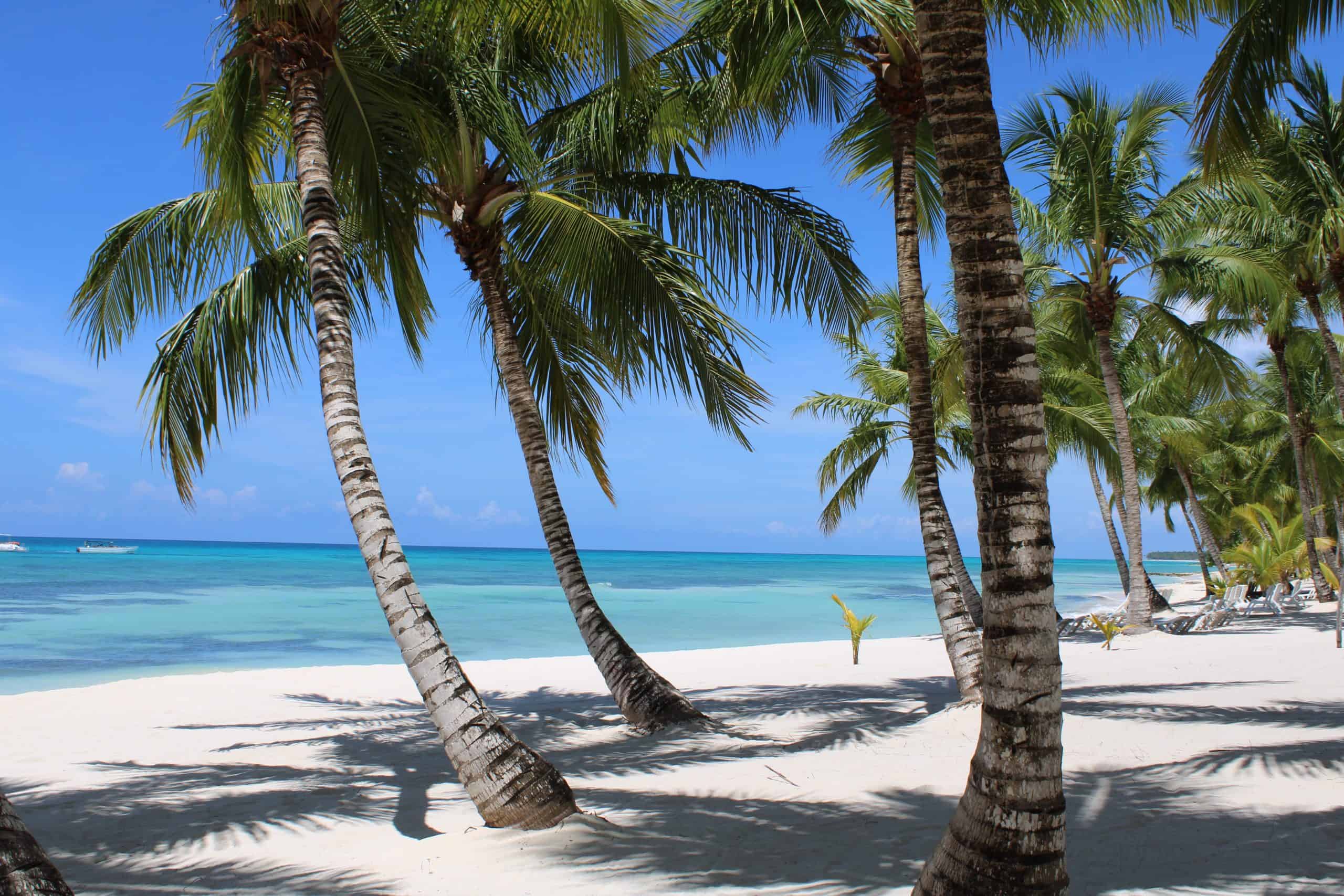 Dominikana Punta Cana